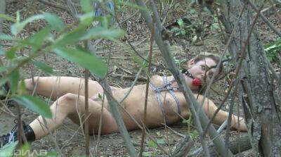 Tied up chick Bailey Blue gets her pussy fucked and jizzed in the forest on badgirlnextdoor.com